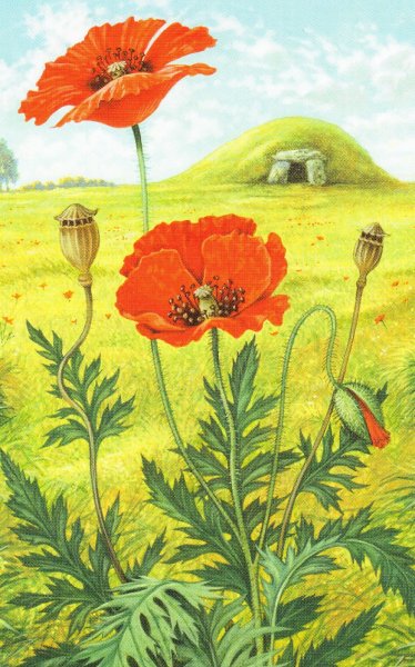 Карточка уно реверс под чехол