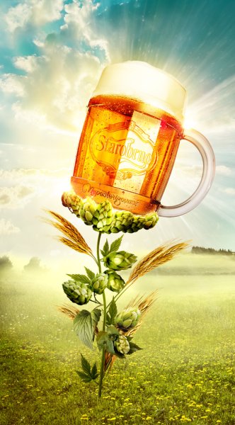 Пивной цветок