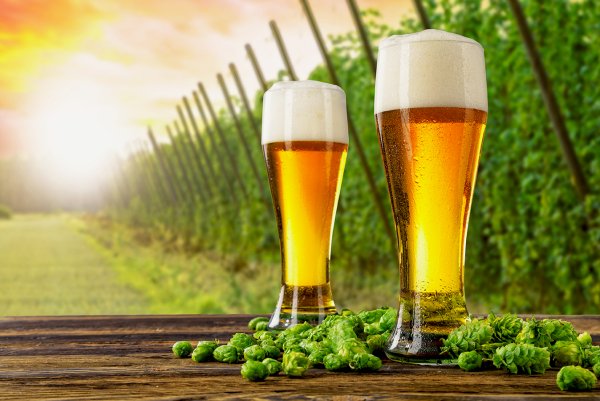 Разливное пиво на природе