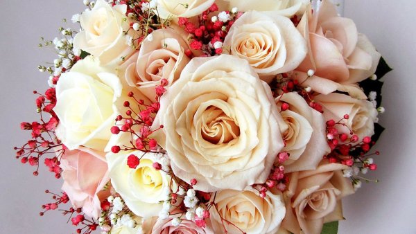 Шикарный нежный букет