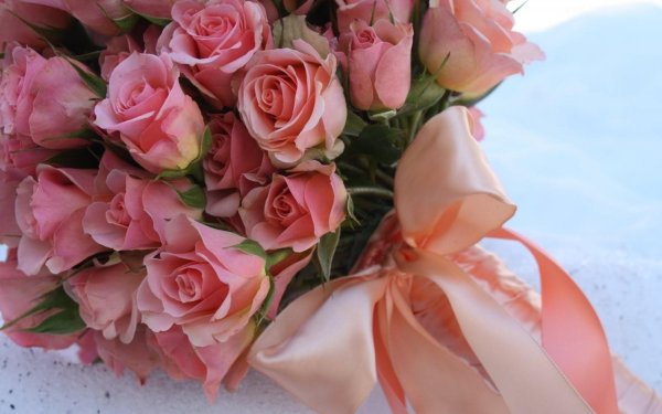 Нежный цветок