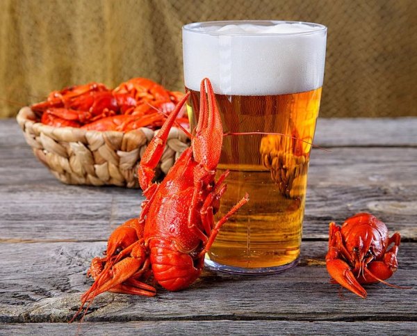 Пиво с лобстером