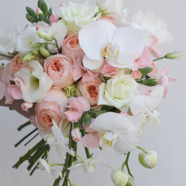 Нежный цветок