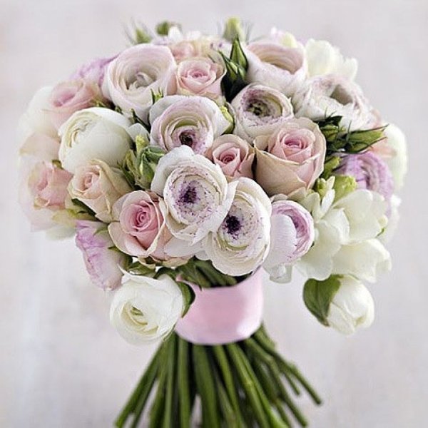 Нежный цветок