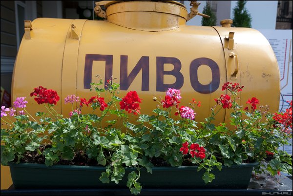 Шашлык и пиво