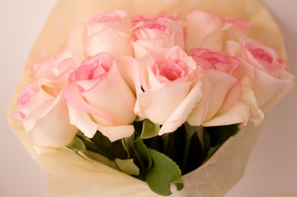 Шикарный нежный букет