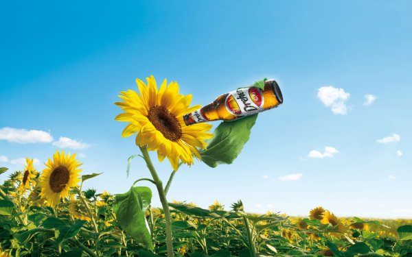 Пиво разливное пятница