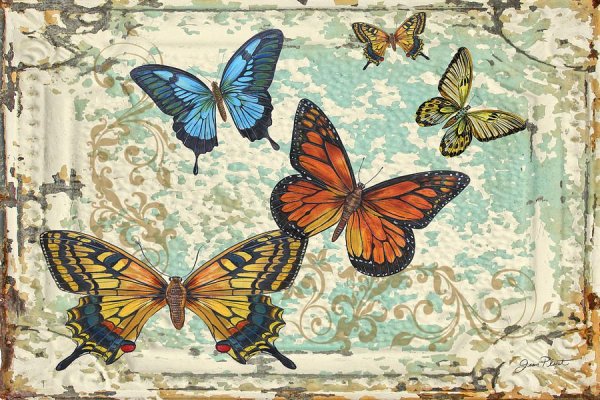 Бабочки Винтаж