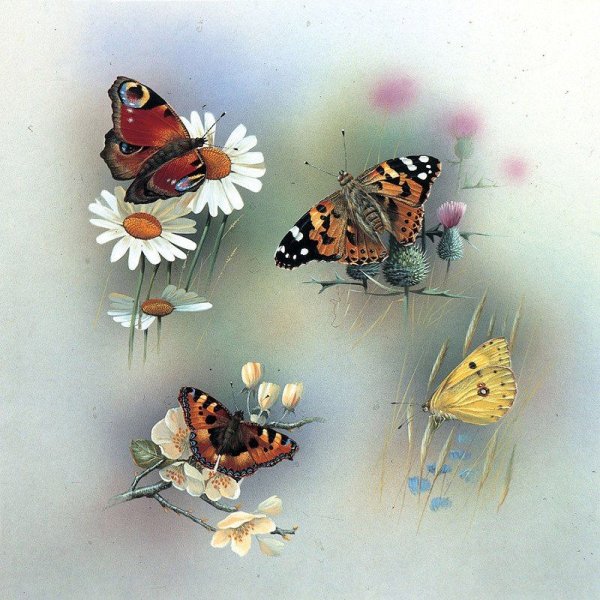 Картины художника Jan Weenink