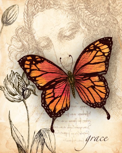 Винтажная бабочка