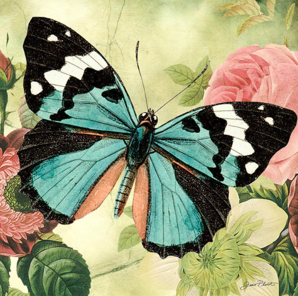 Винтажная бабочка