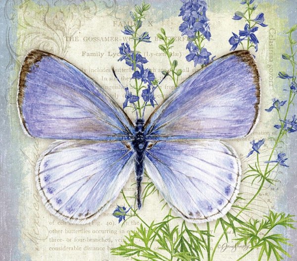 Художник Jane Shasky