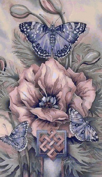 Художник Jody Bergsma бабочки