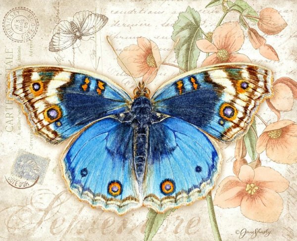 Художник Jane Shasky