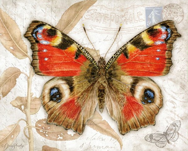 Бабочки для декупажа