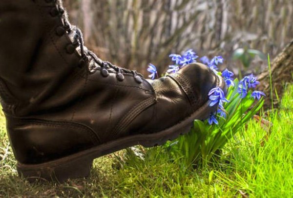 Человек наступает на цветок