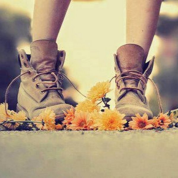 Растоптанный ногами цветок