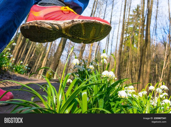 Человек топчет цветы
