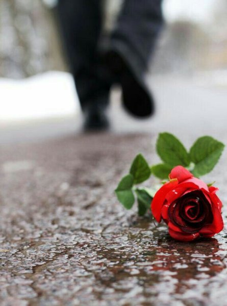 Грустный цветок