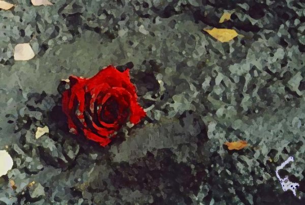 Растоптанный цветок