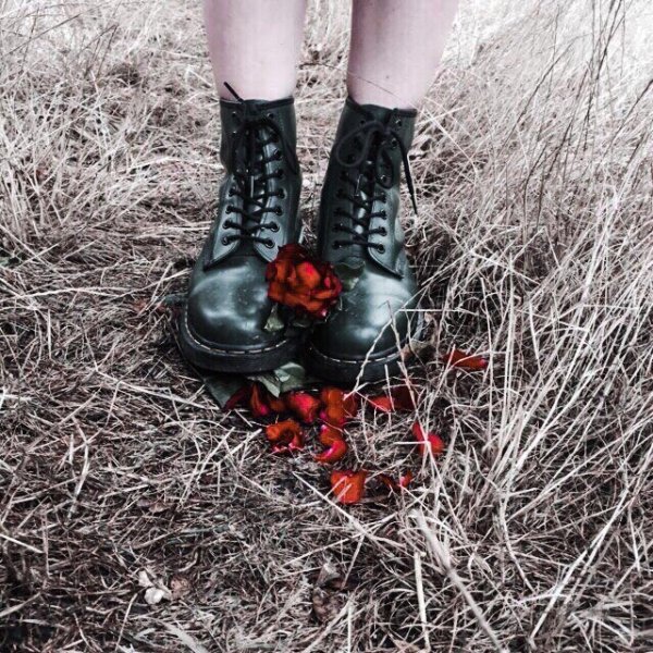 Сорванный цветок