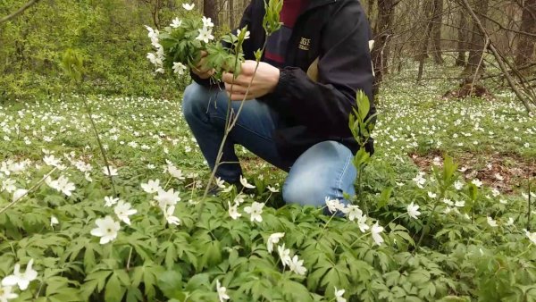 Цветы в ботинках