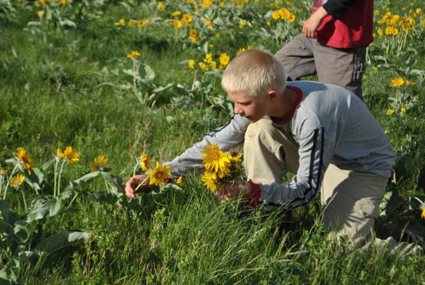 Цветок в асфальте