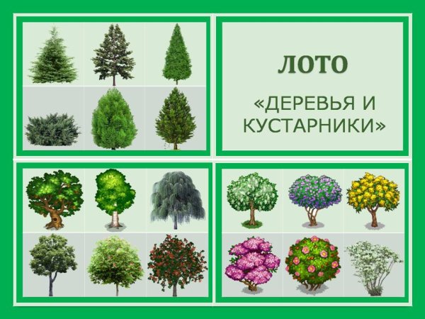 Игра лото для детей деревья