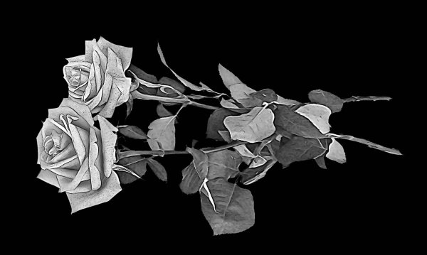 Цветы для гравировки