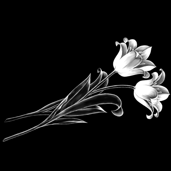 Розы для гравировки