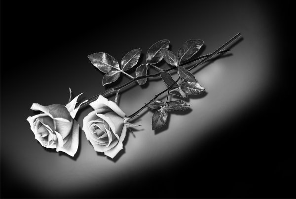 Цветы для гравировки