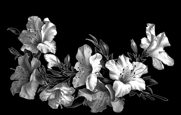 Розы для гравировки на Камне