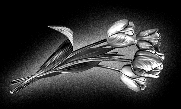 Розы для гравировки на памятниках