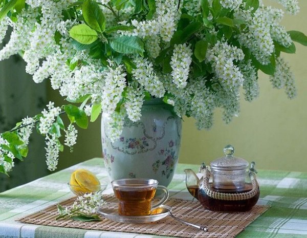 Доброе утро сирень черемуха