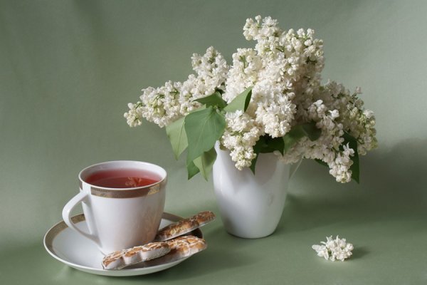 Букет черемухи и чай