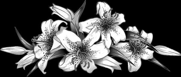 Розы для гравировки на памятниках