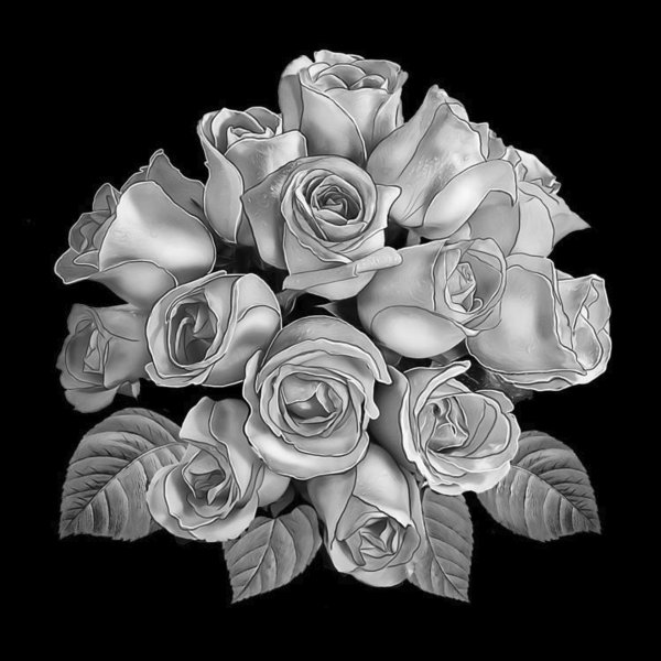 Тюльпаны для гравировки на памятниках