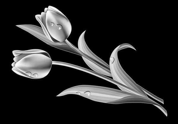 Розы на памятник