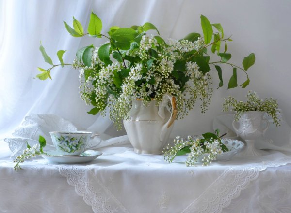 Черемуха в кувшине