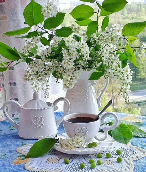 Доброе утро черемуха