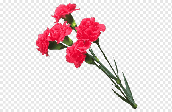 Розы для гравировки на памятниках