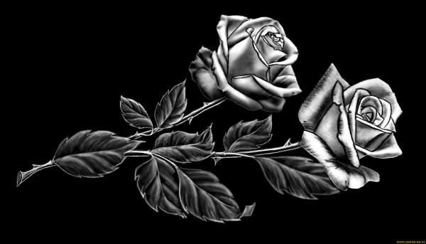 Розы со свечой на памятник