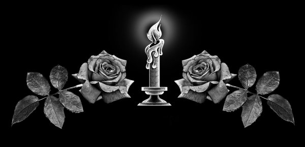 Гвоздики на памятник