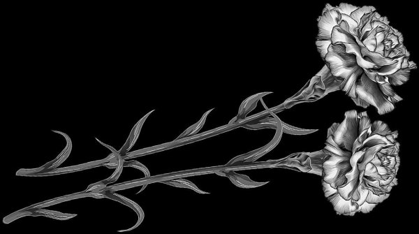 Розы для гравировки