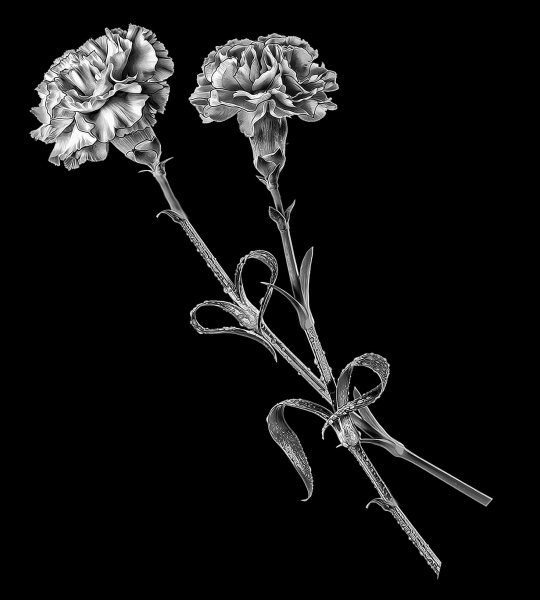 Розы для гравировки на памятниках