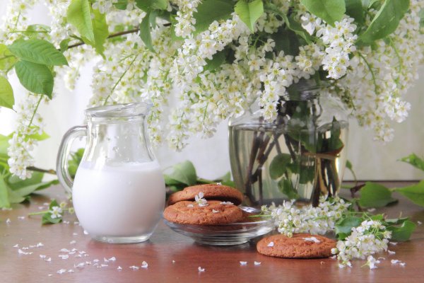 Черемуха на столе