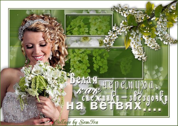 Букет "белая сирень"