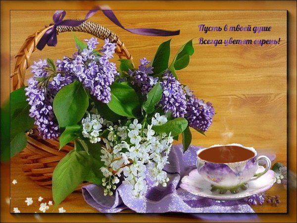 Букет сирени и черемухи