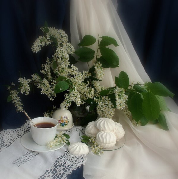 Натюрморты с белой сиренью