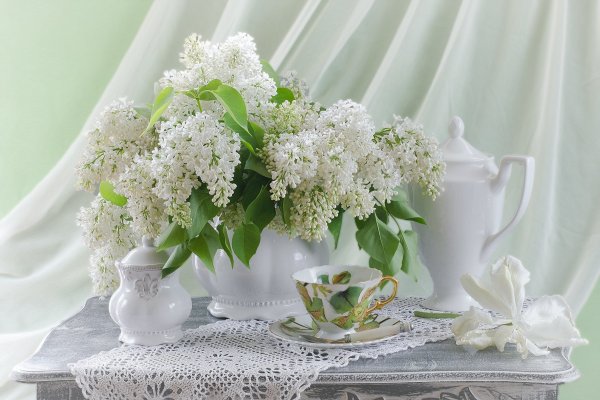 Кошки и Ландыши